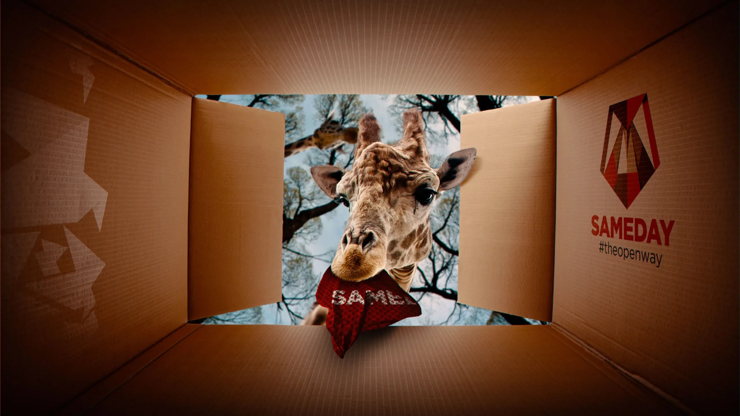 Sameday App Solu ia Ta Pentru Gestionarea Livr rilor Sameday App Solu ia Ta Pentru Gestionarea Livr rilor